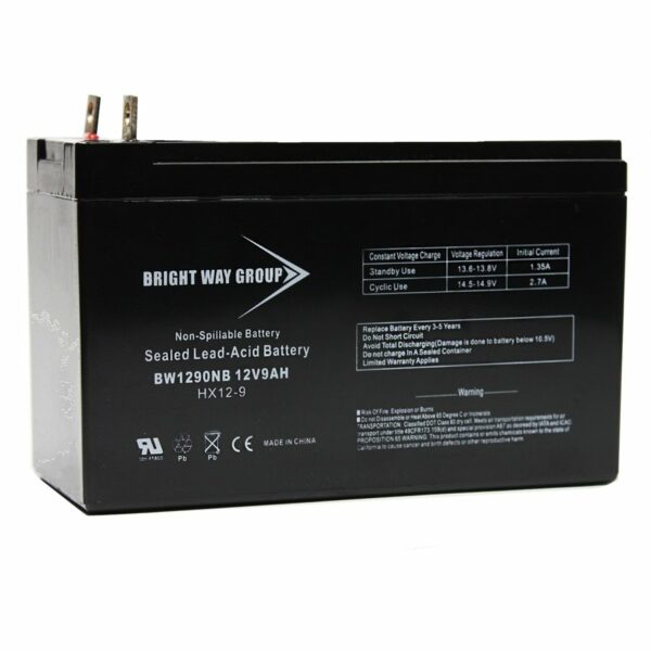 BW1290 NB batterie survolteur